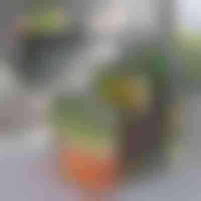 Posoda za organiziranje hladilnika | FRESHDISH