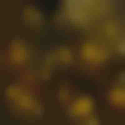 Lučke za božično drevo | IZIGLOW