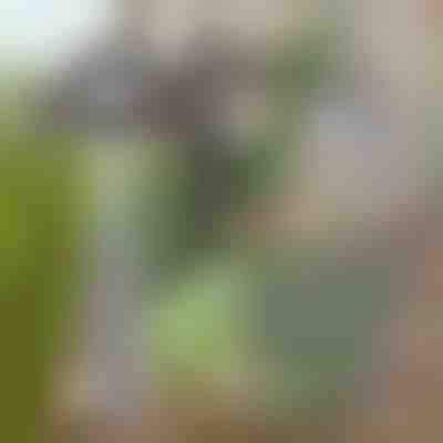 Vrtna motika za enostavno odstranjevanje plevela | GRASSOE