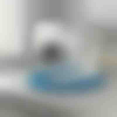 Prilagodljiv čistilec prezračevalnih cevi sušilnika | DRYKIT