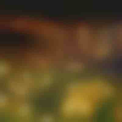 Vrtne solarne lučke (topla svetloba) | SOMPEX